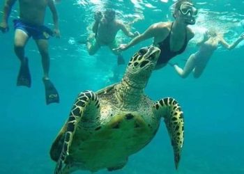 Snorkeling Blue Lagoon (2)