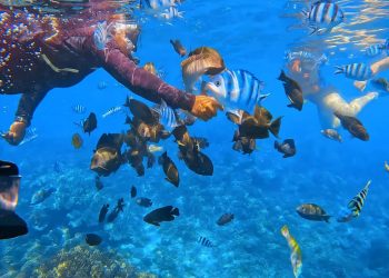 Snorkeling Blue Lagoon (3)